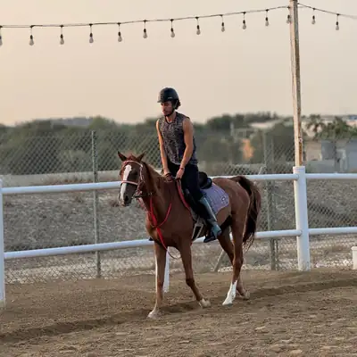 Horse Riding Dubai — Group Lessons & Desert Rides 2 Horse riding Dubai — coach riding in the arena